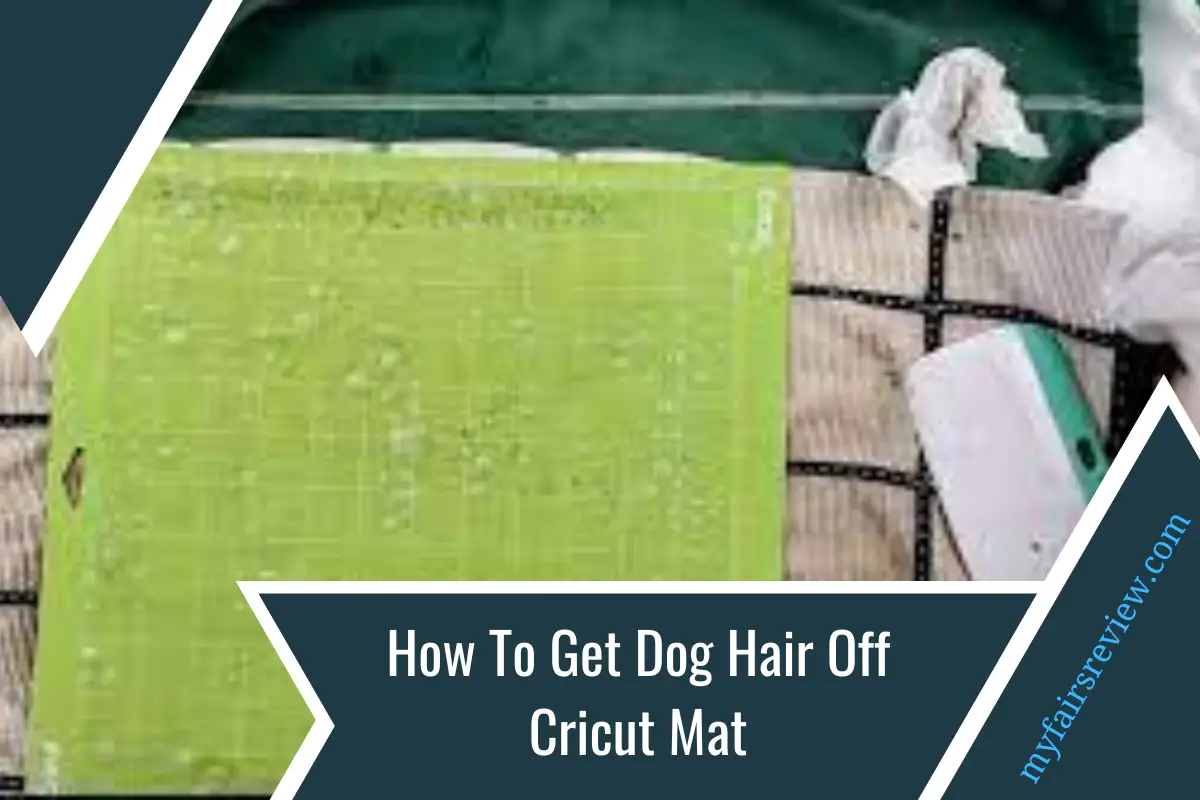 How To Get Dog Hair Off Cricut Mat