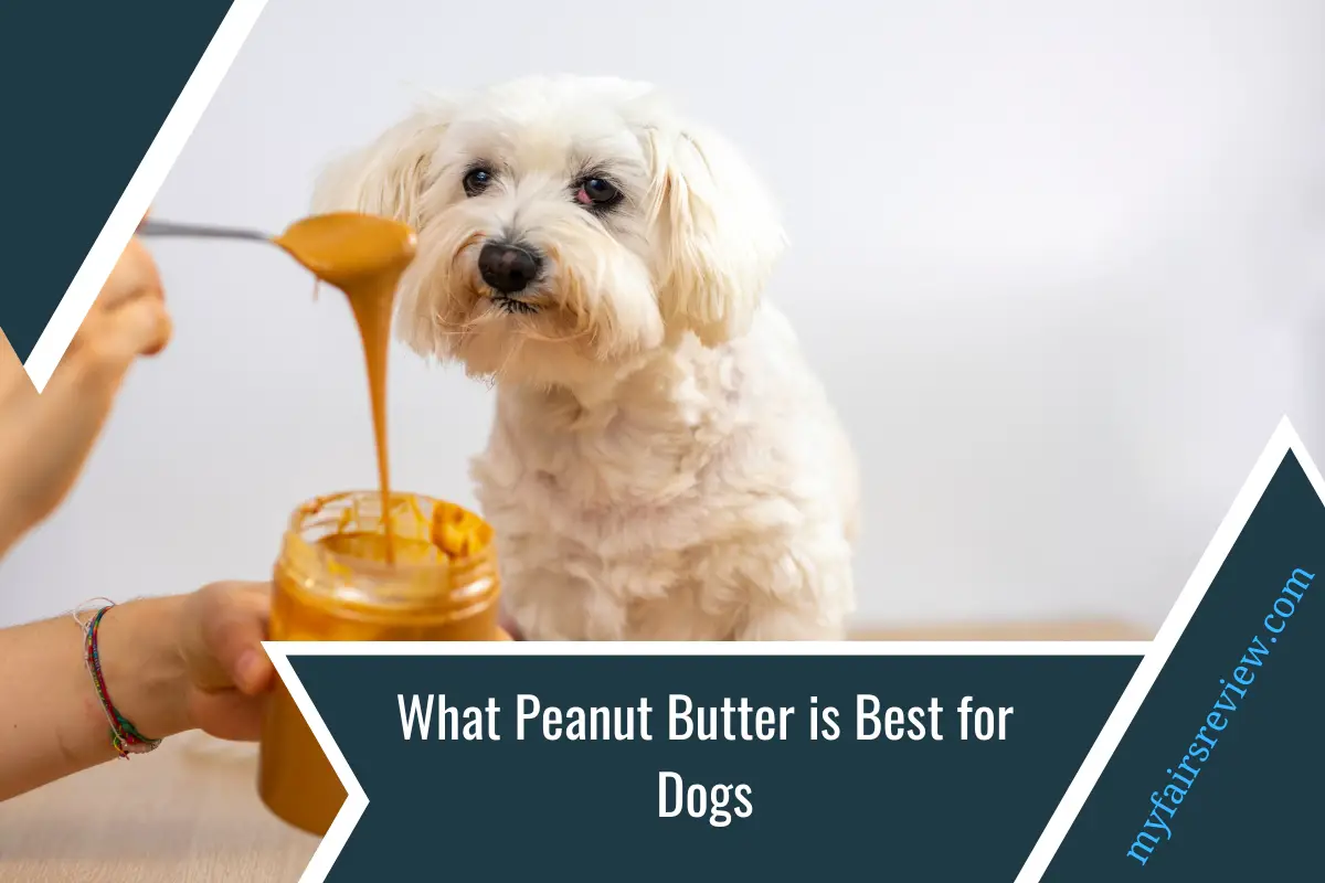 What Peanut Butter is Best for Dogs