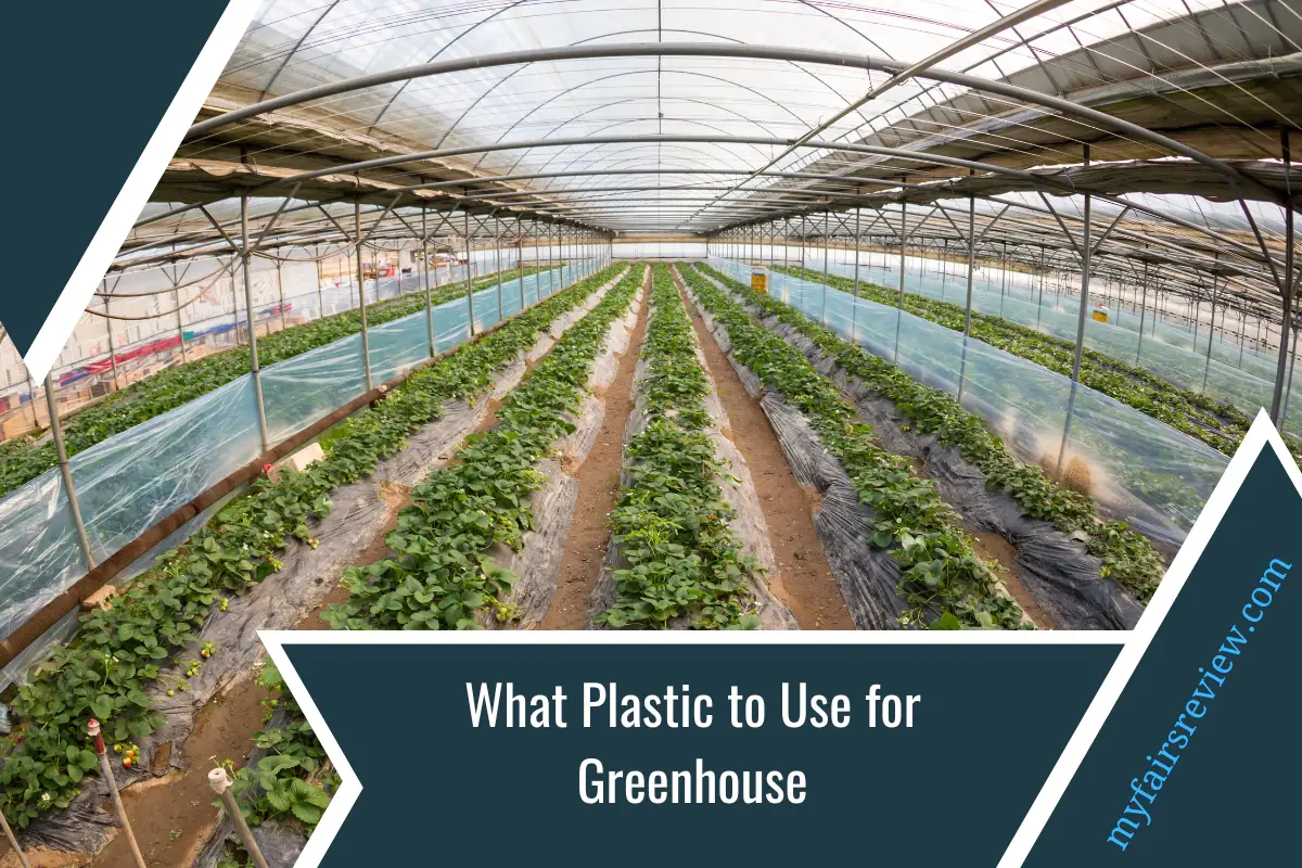 What Plastic to Use for Greenhouse