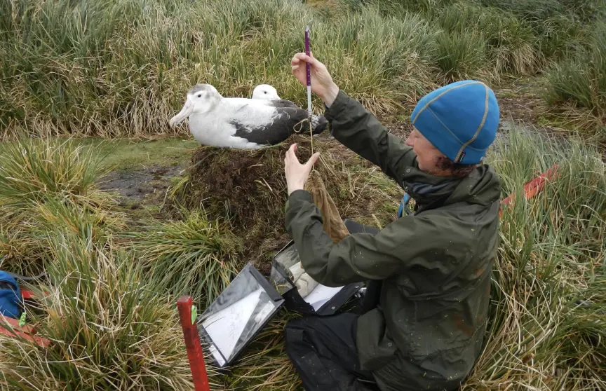 How Can I Contribute to Wildlife Conservation Through Birdwatching?