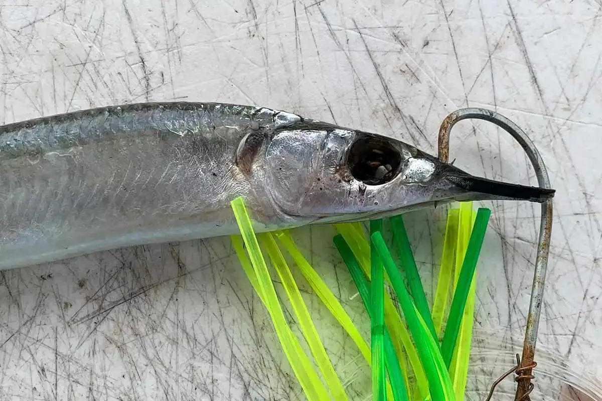 What are the Best Lures for Saltwater Fishing?