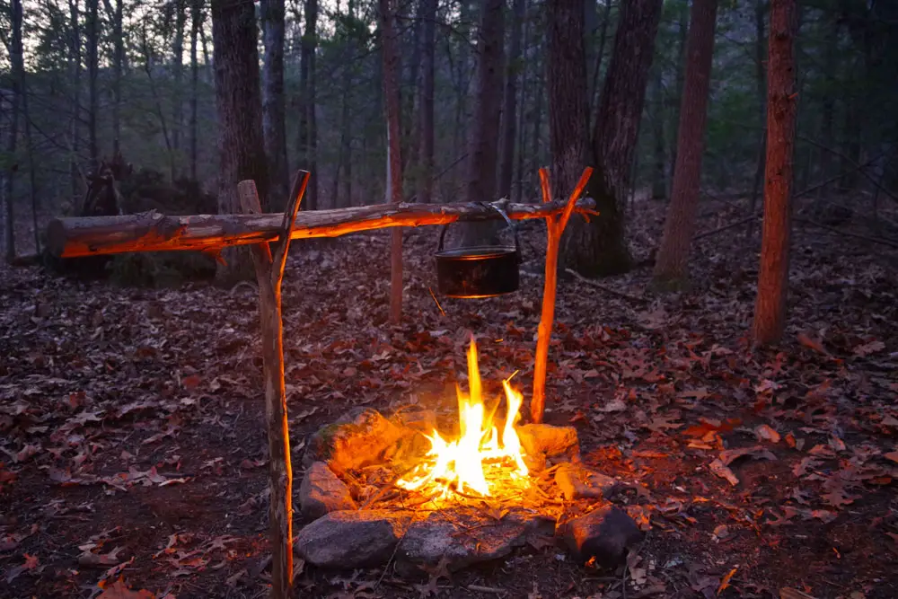 What are the Top Wilderness Survival Skills to Learn?